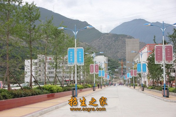校园一角