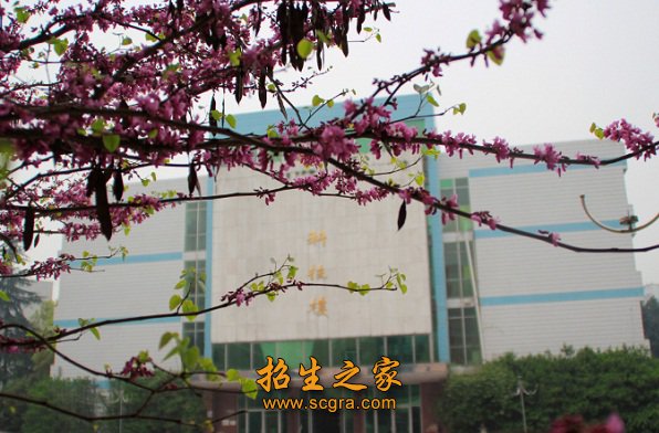 校园景色