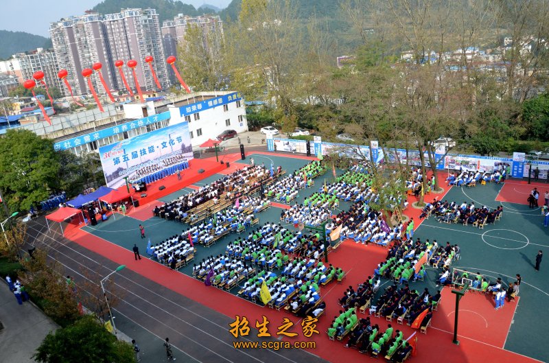 文化节活动 文化节活动