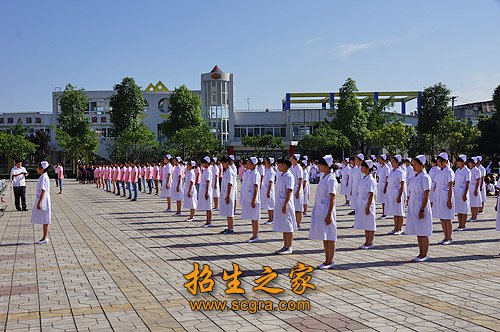 集体活动 集体活动