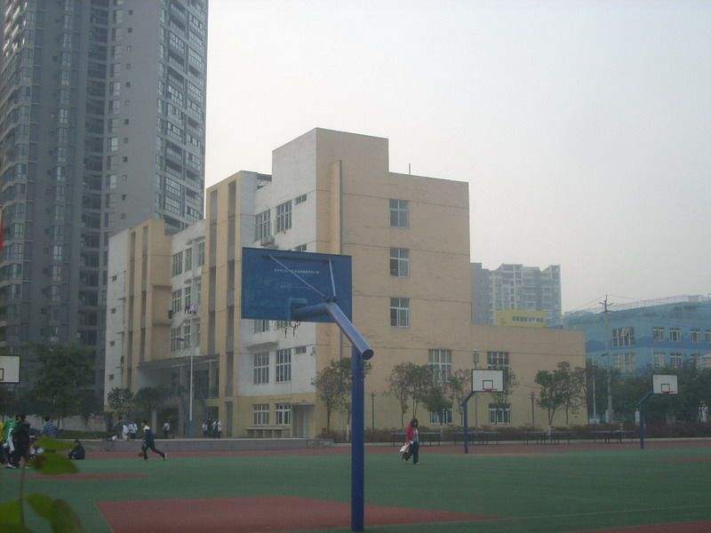 成都青苏职业中专学校2020招生简章