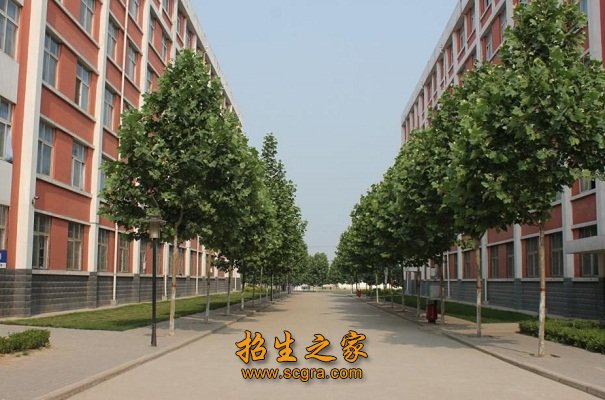 校园风景