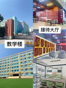 权威发布｜2027年成都单招培训机